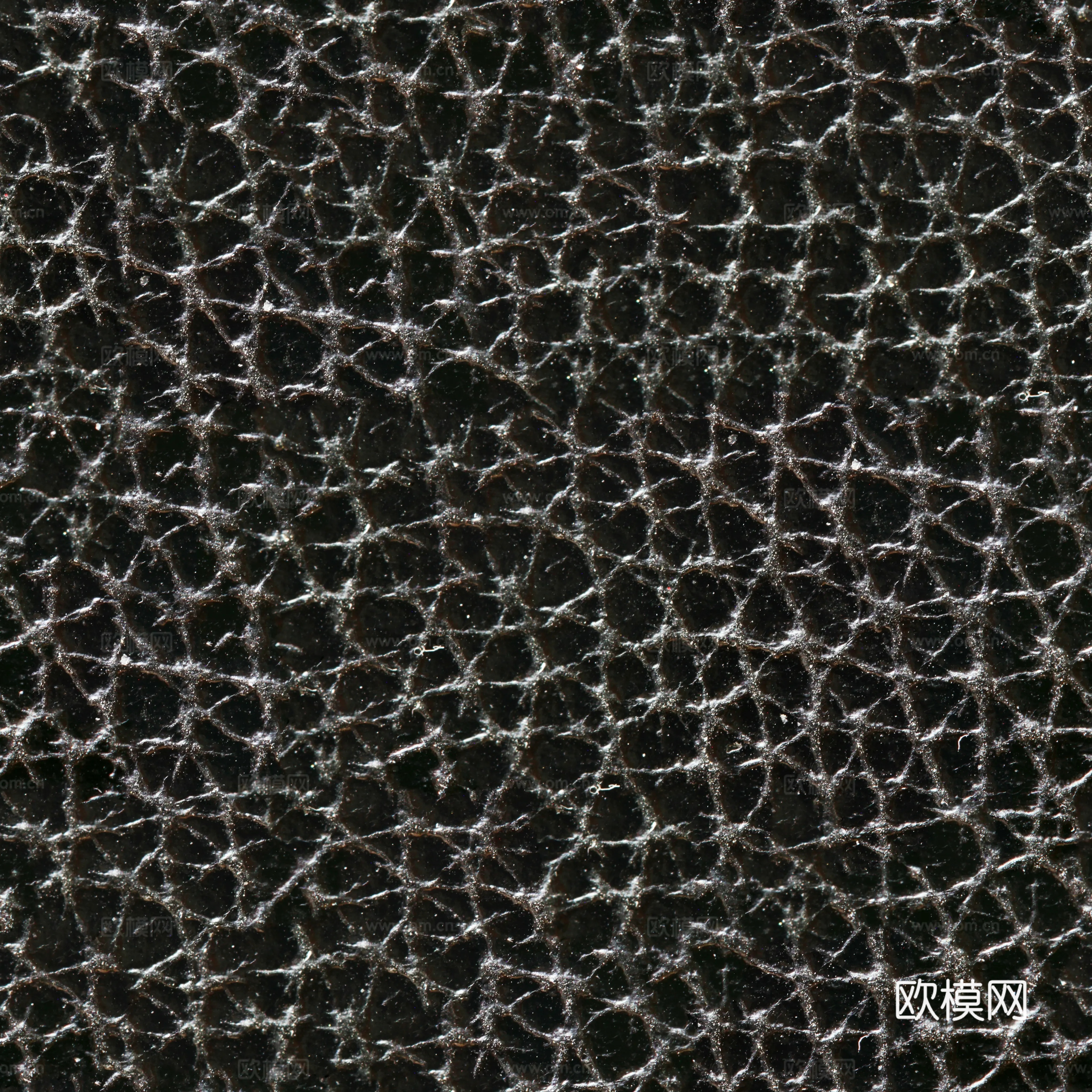 高清动物皮皮革贴图