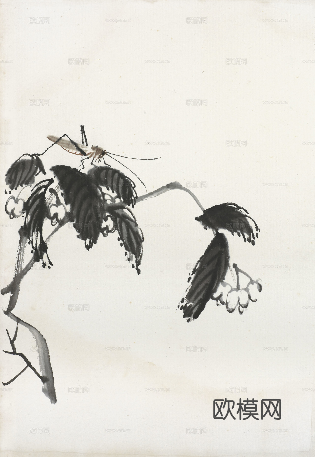 齐白石写意水墨画，近现代水墨画65 (2)