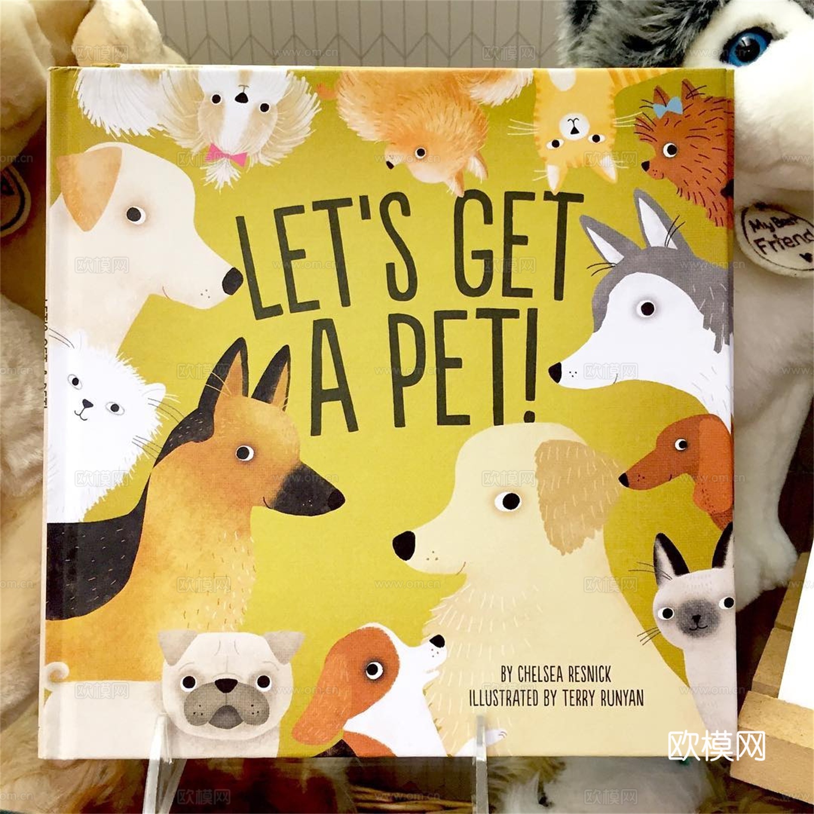 可爱动物手绘，创意童趣插画，猫咪动物插画，治愈系插画，可爱儿下载