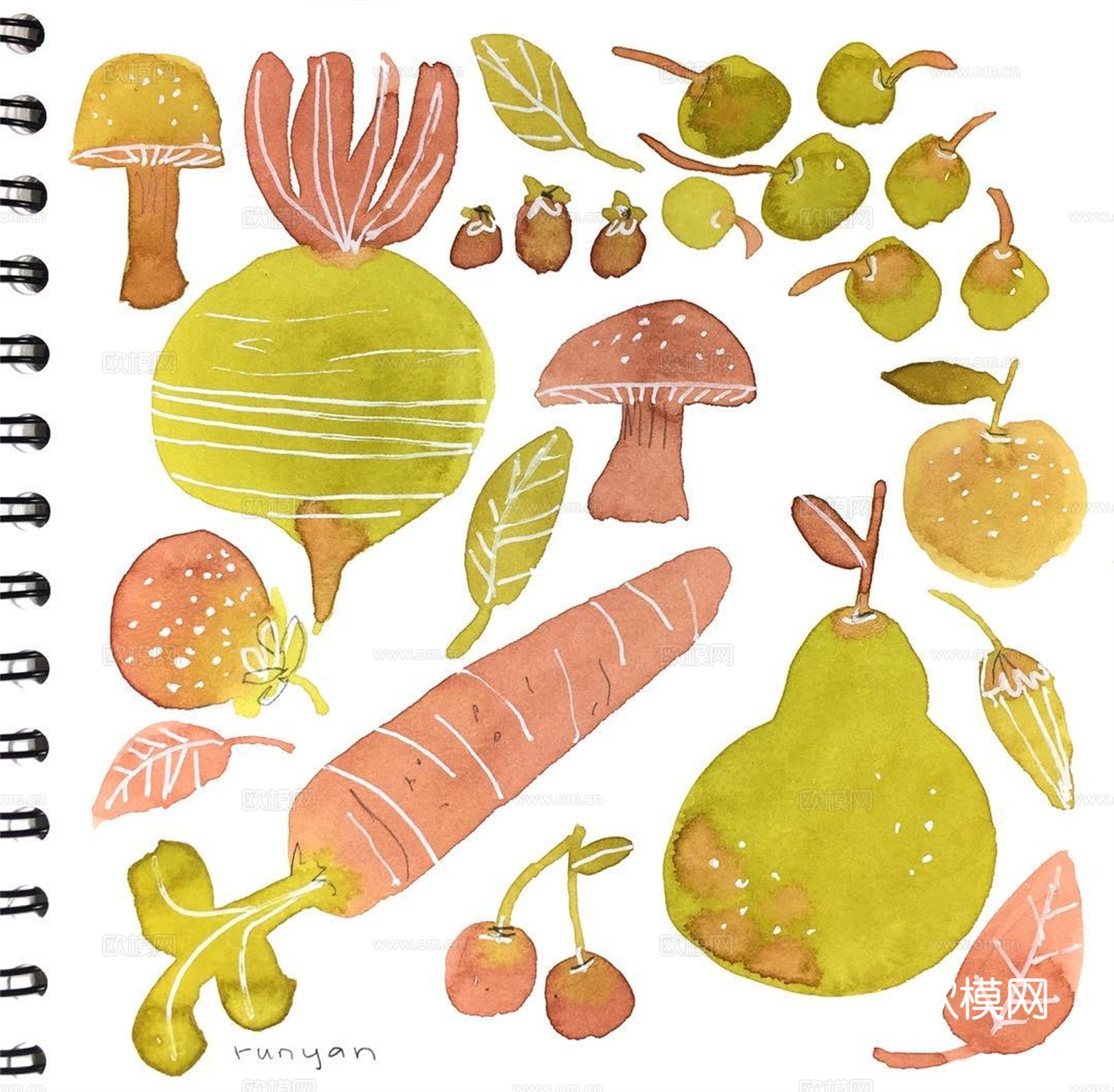 可爱动物手绘，创意童趣插画，猫咪动物插画，治愈系插画，可爱儿