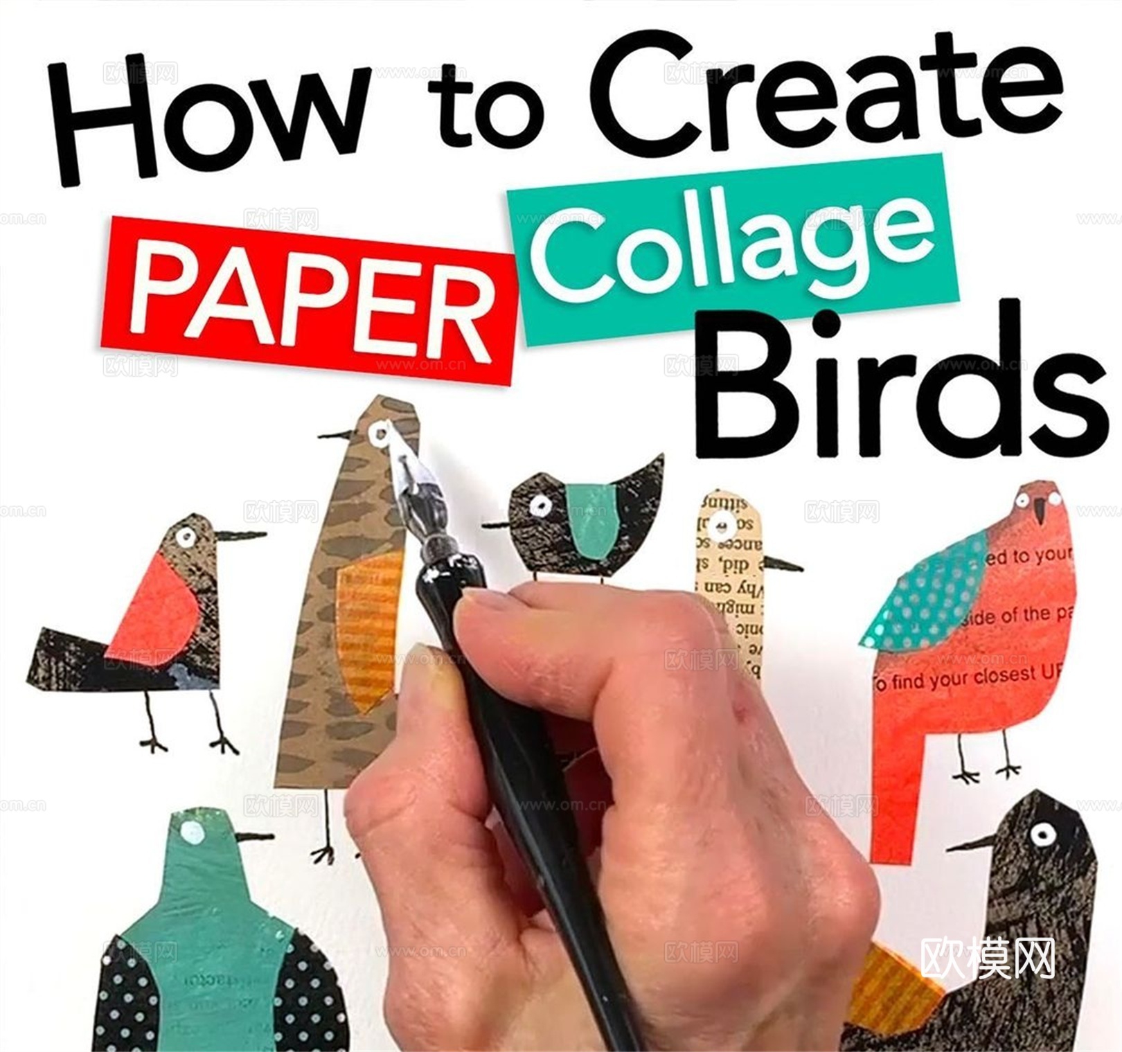 可爱动物手绘，创意童趣插画，猫咪动物插画，治愈系插画，可爱儿