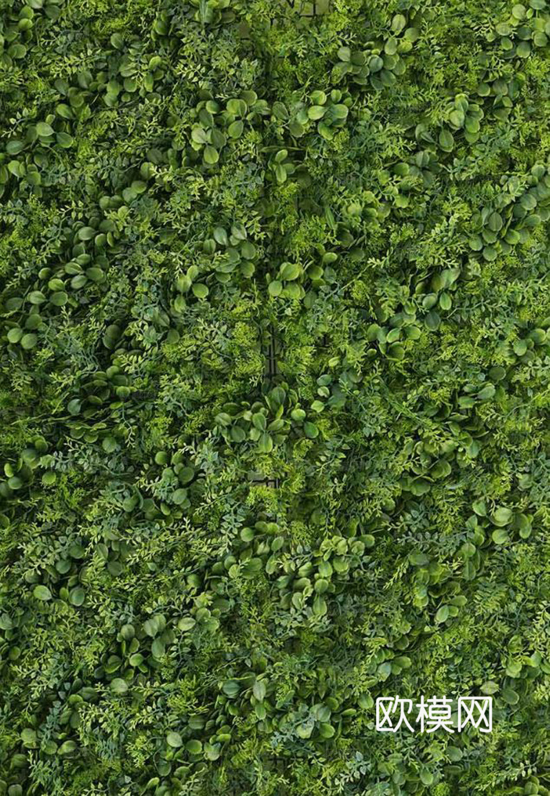 绿植墙  苔藓