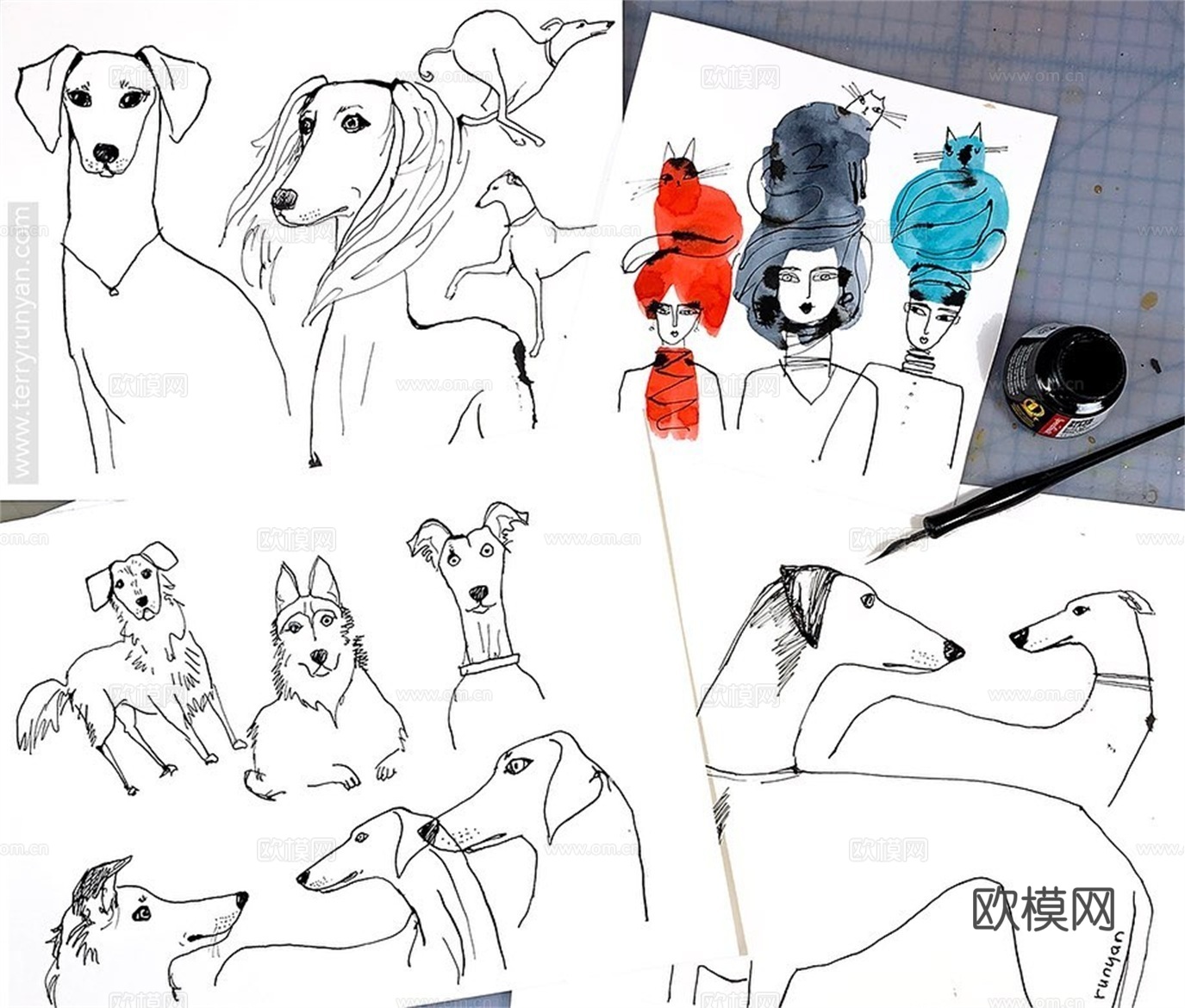 可爱动物手绘，创意童趣插画，猫咪动物插画，治愈系插画，可爱儿