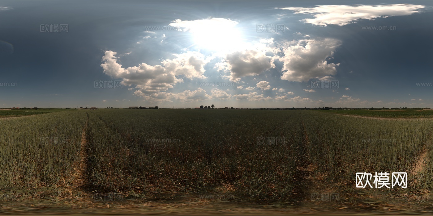 户外蓝色天空草原草坪全景