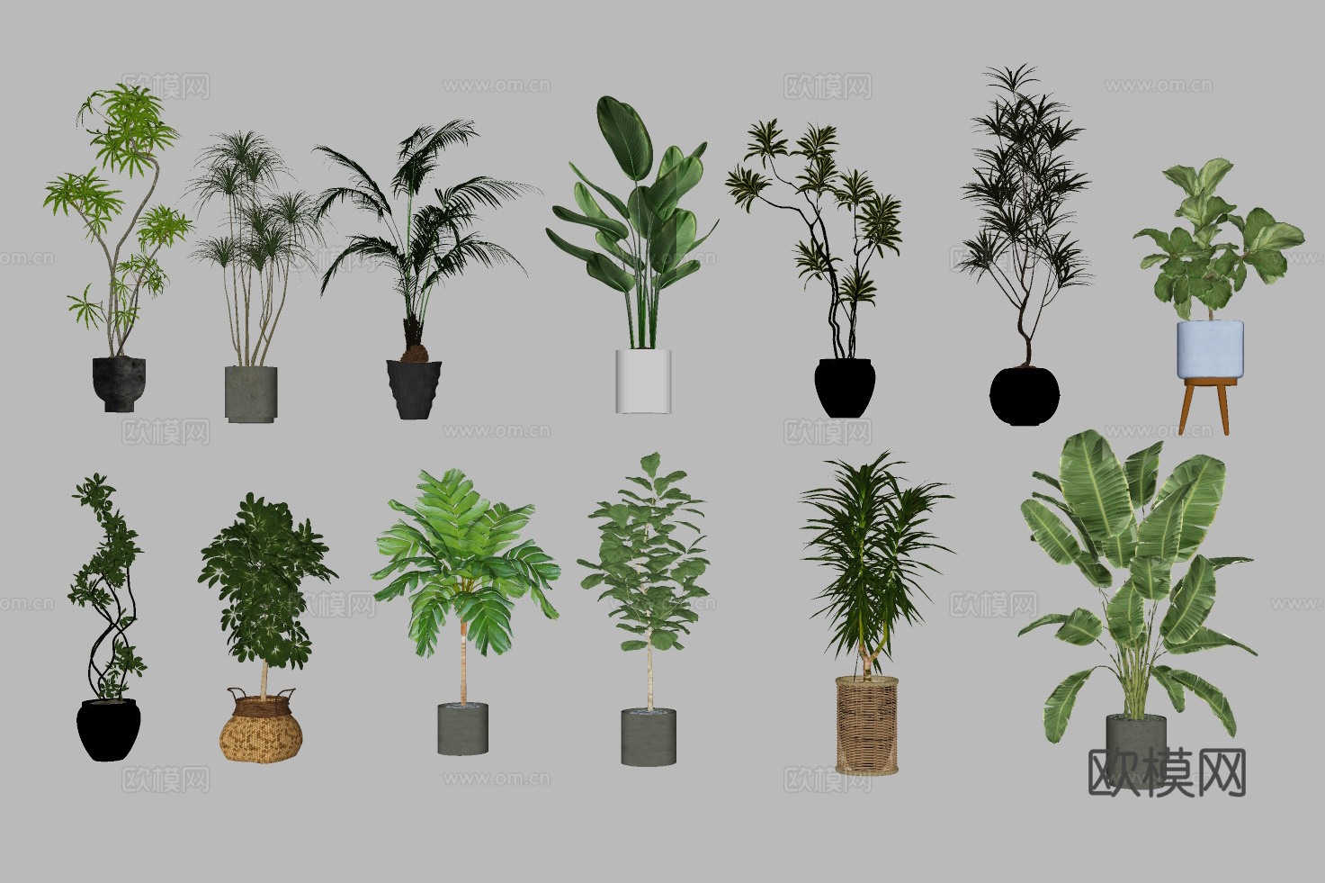 绿植 盆栽 植物su模型下载（渲染图2）