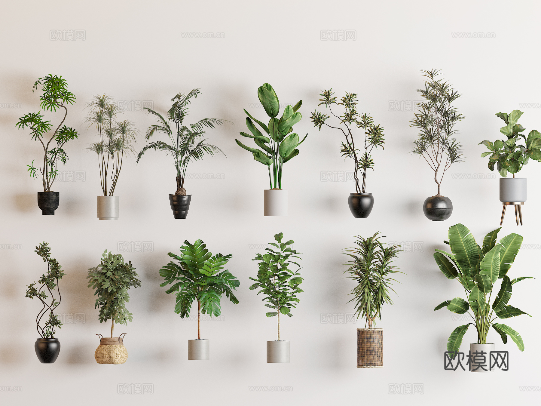 绿植 盆栽 植物su模型下载（渲染图1）