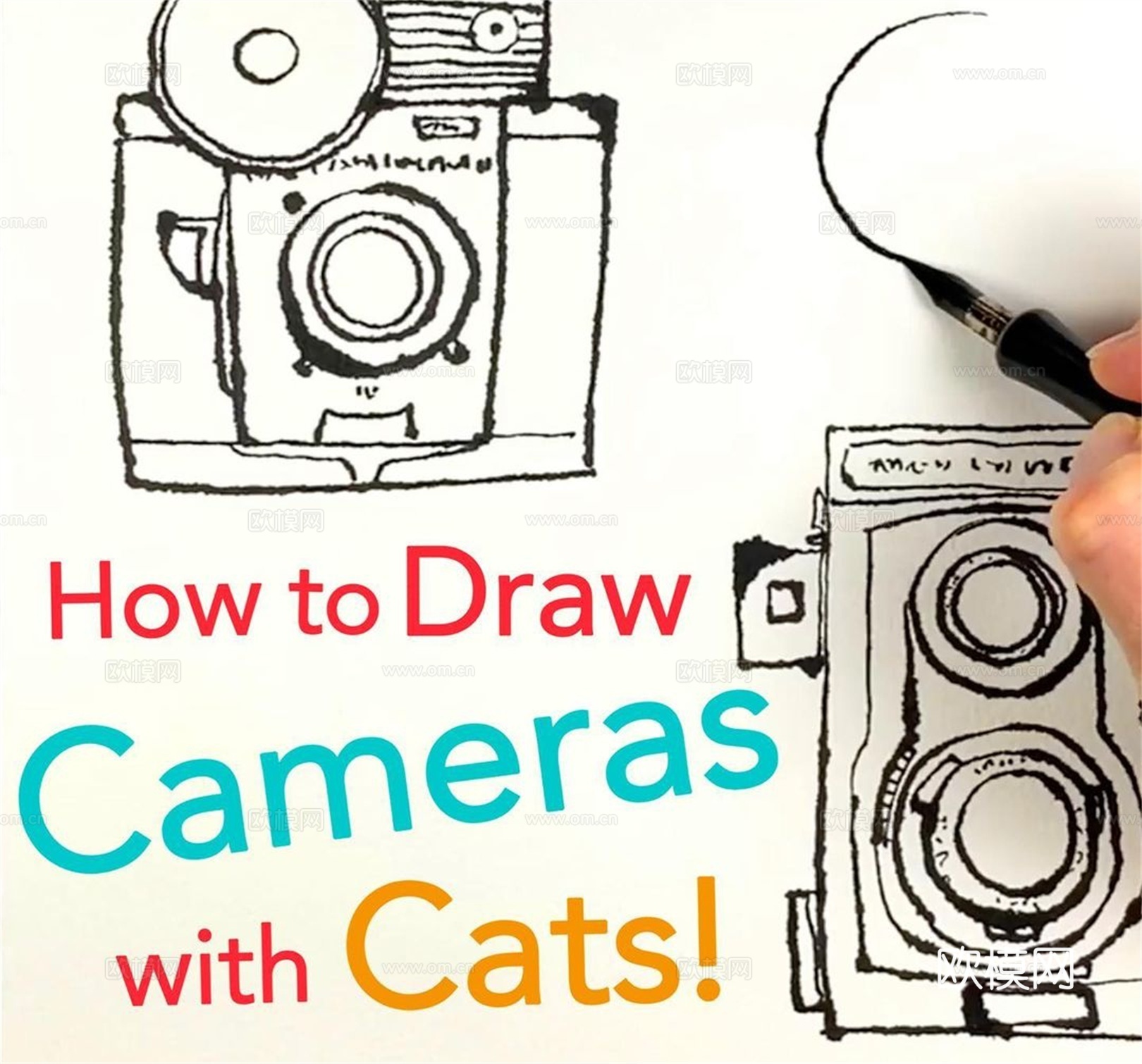 可爱动物手绘，创意童趣插画，猫咪动物插画，治愈系插画，可爱儿下载