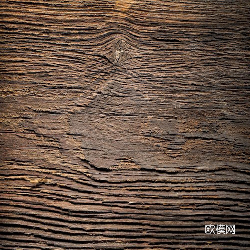 逼真自然树干表面材质