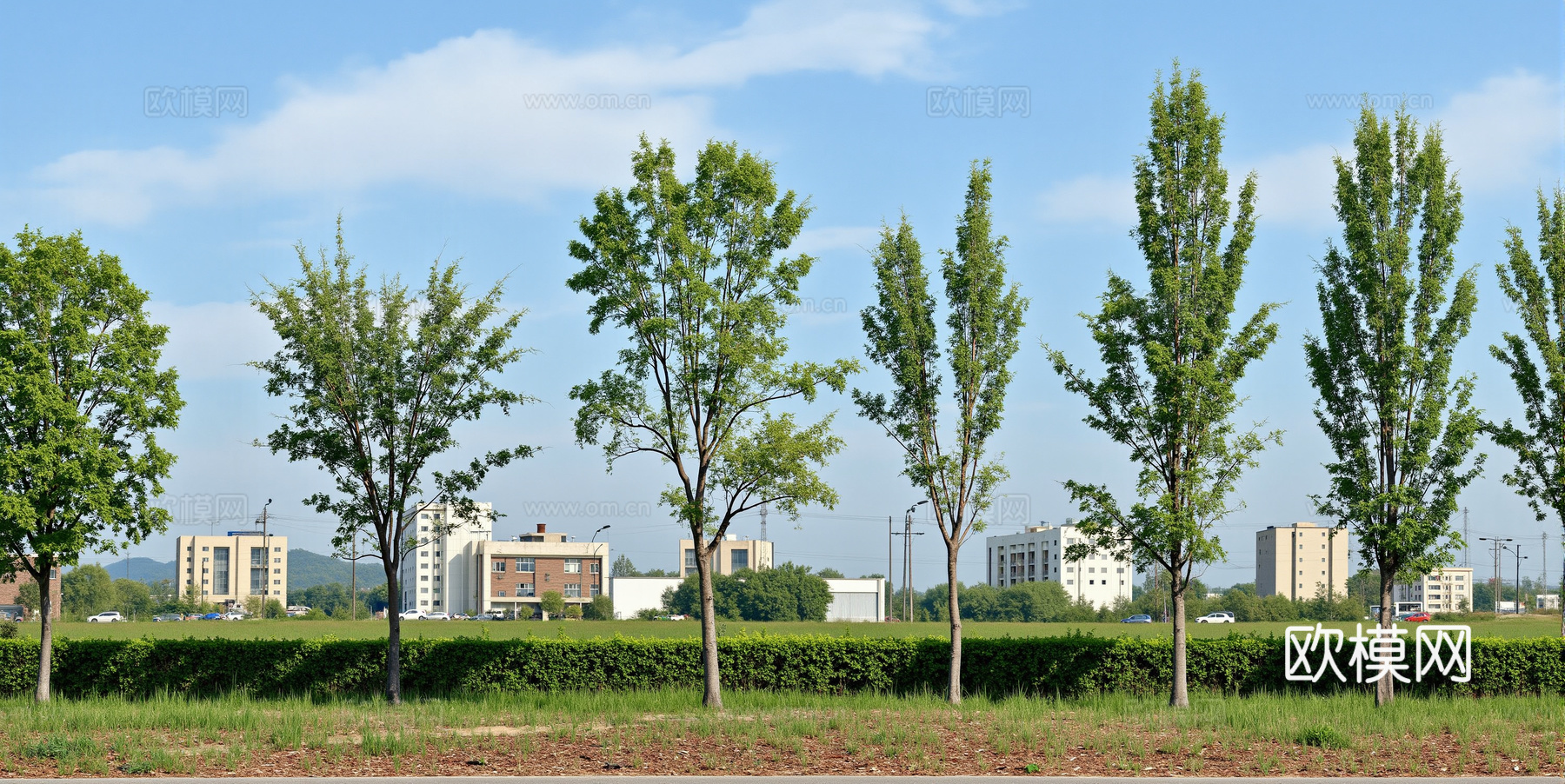 现代街道，街景 马路 门面房窗景