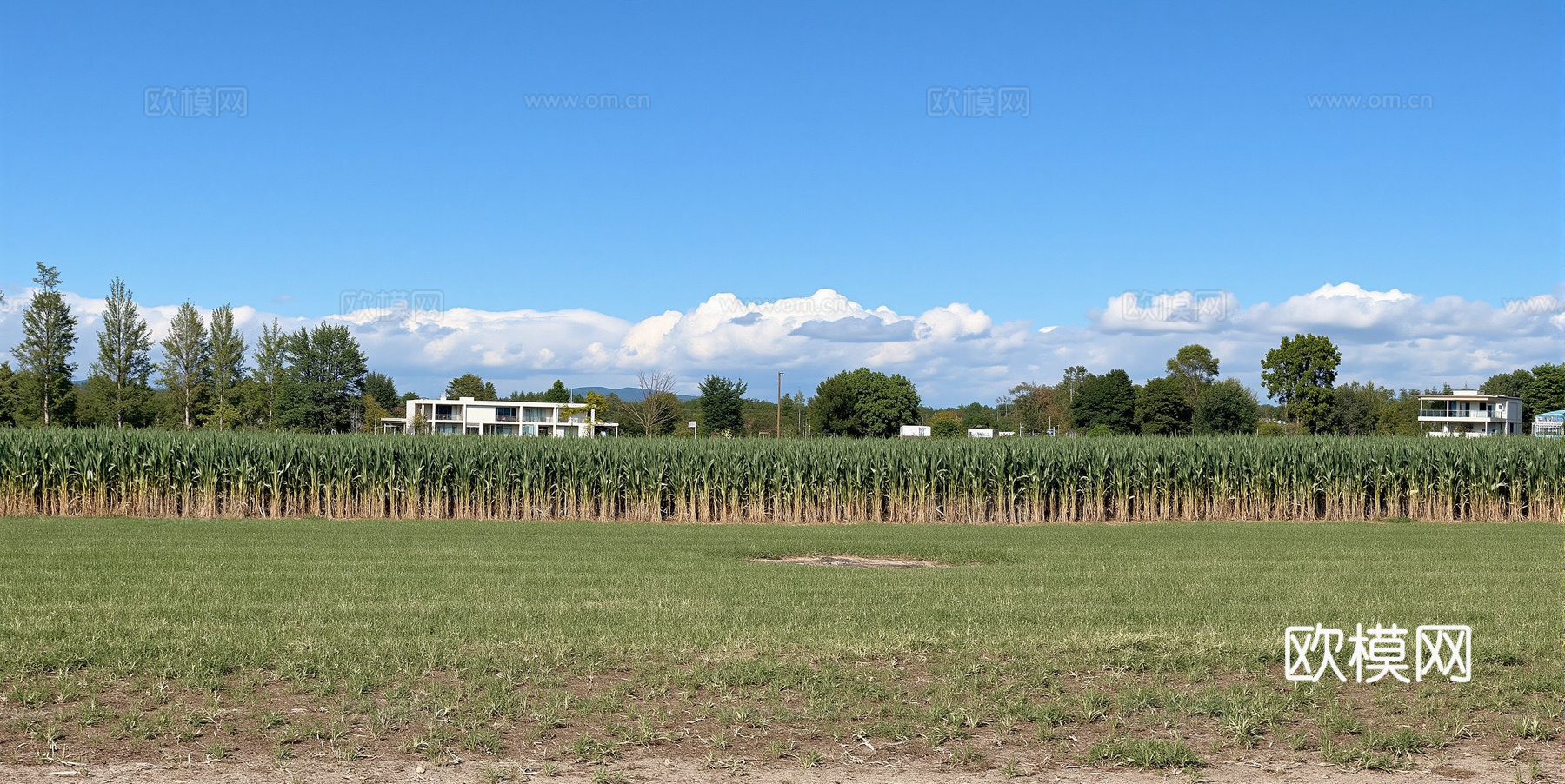 现代乡村风景 自然风景 晴天