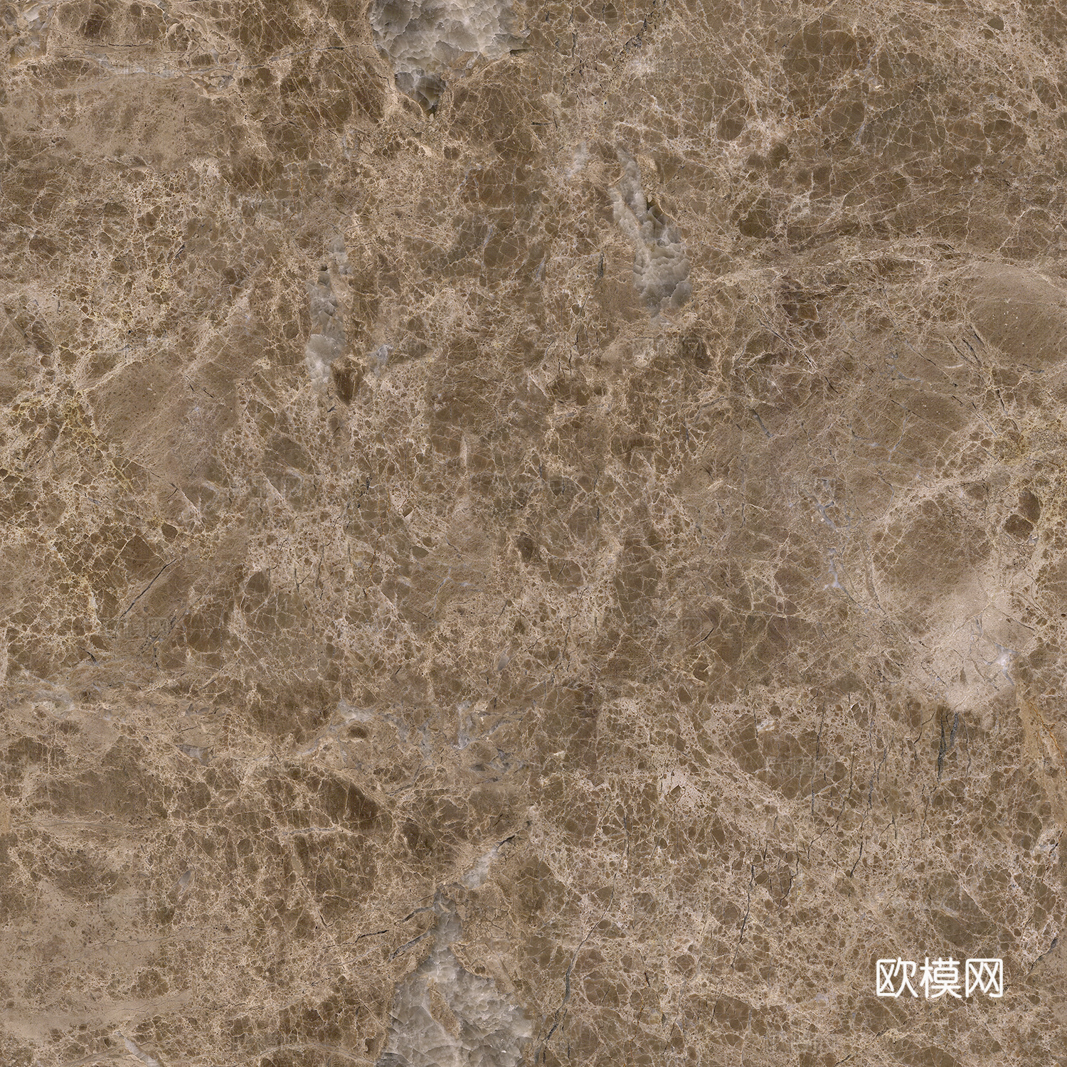 高清深啡网大理石