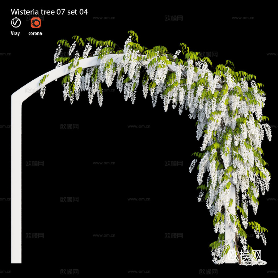 紫藤树07套装043d模型下载（渲染图4）