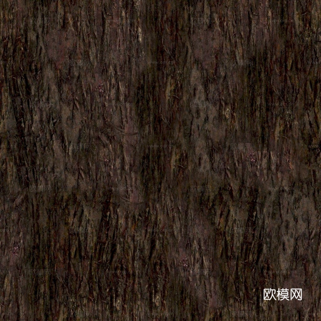 逼真自然树干表面材质