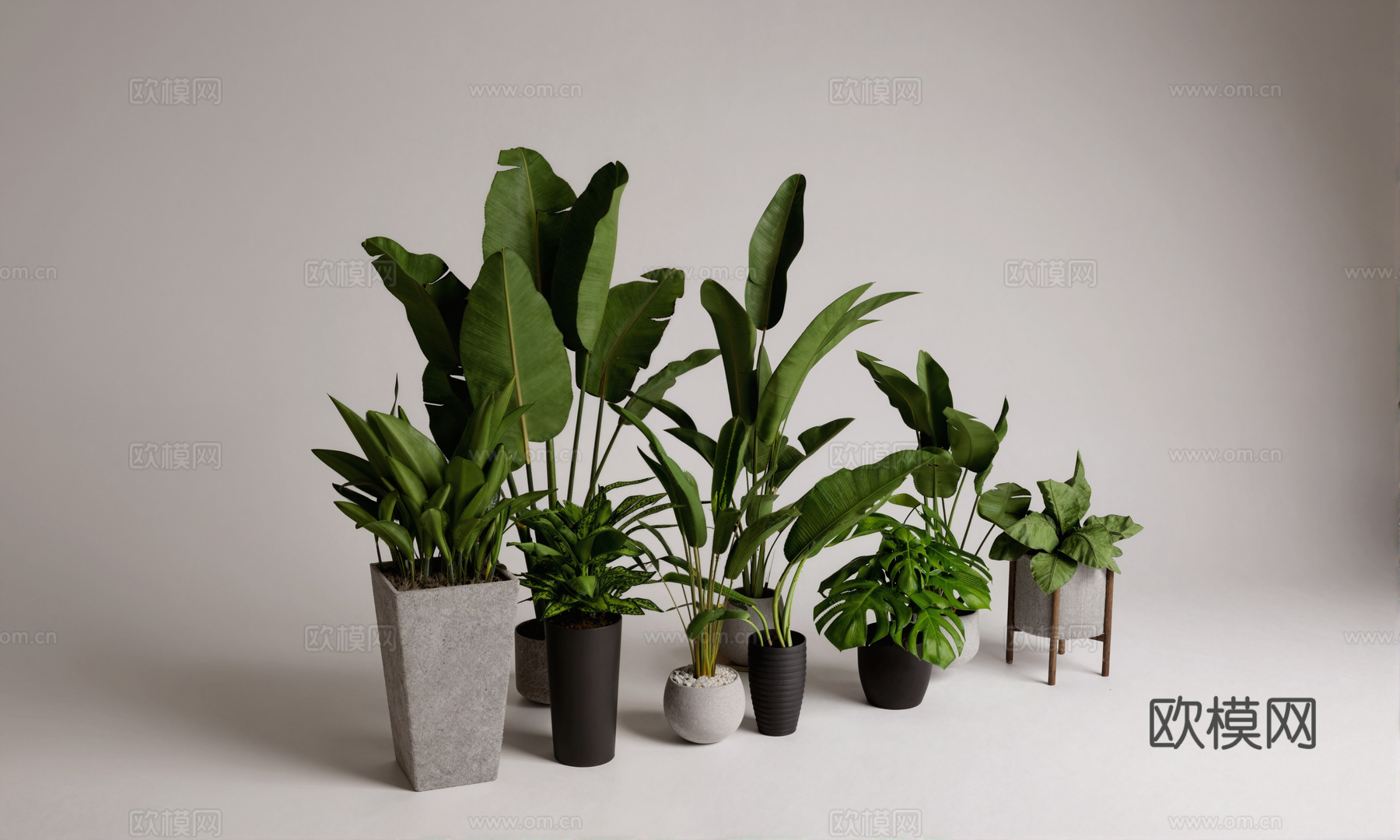 绿植盆栽su模型下载（渲染图1）