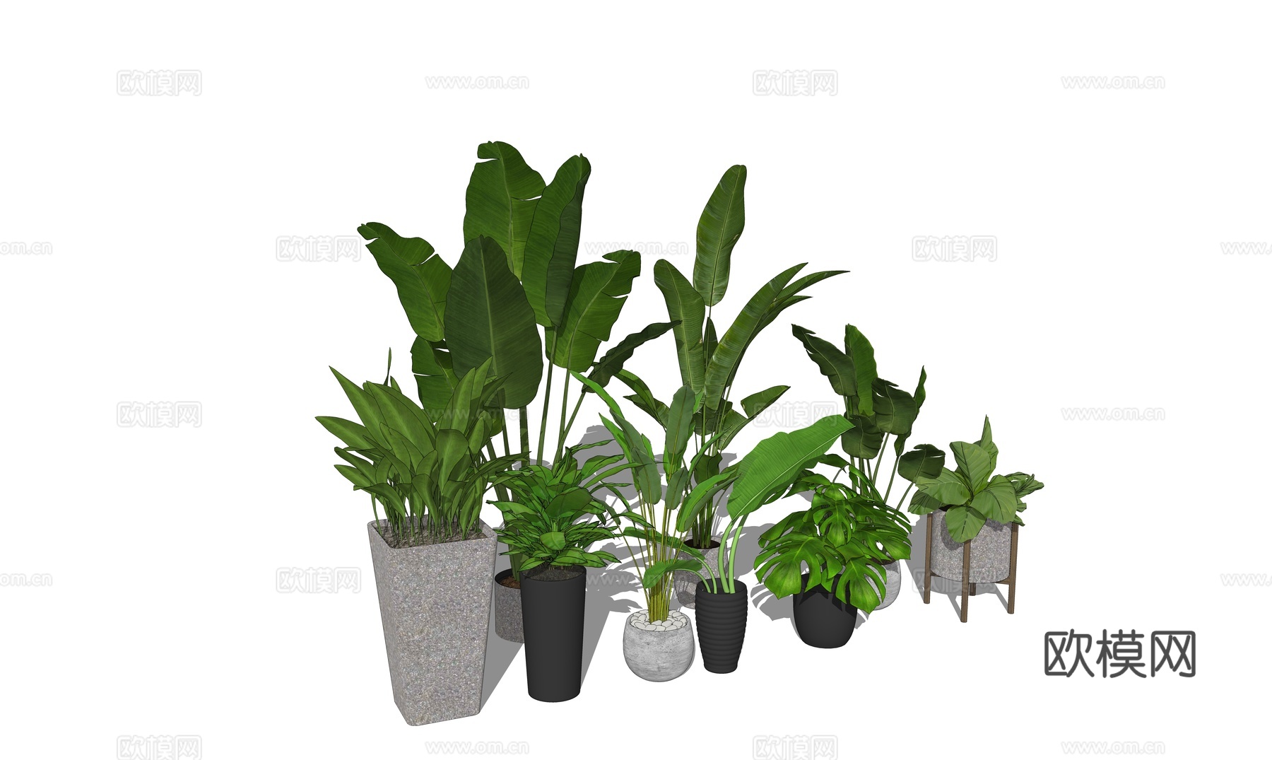 绿植盆栽su模型下载（渲染图2）