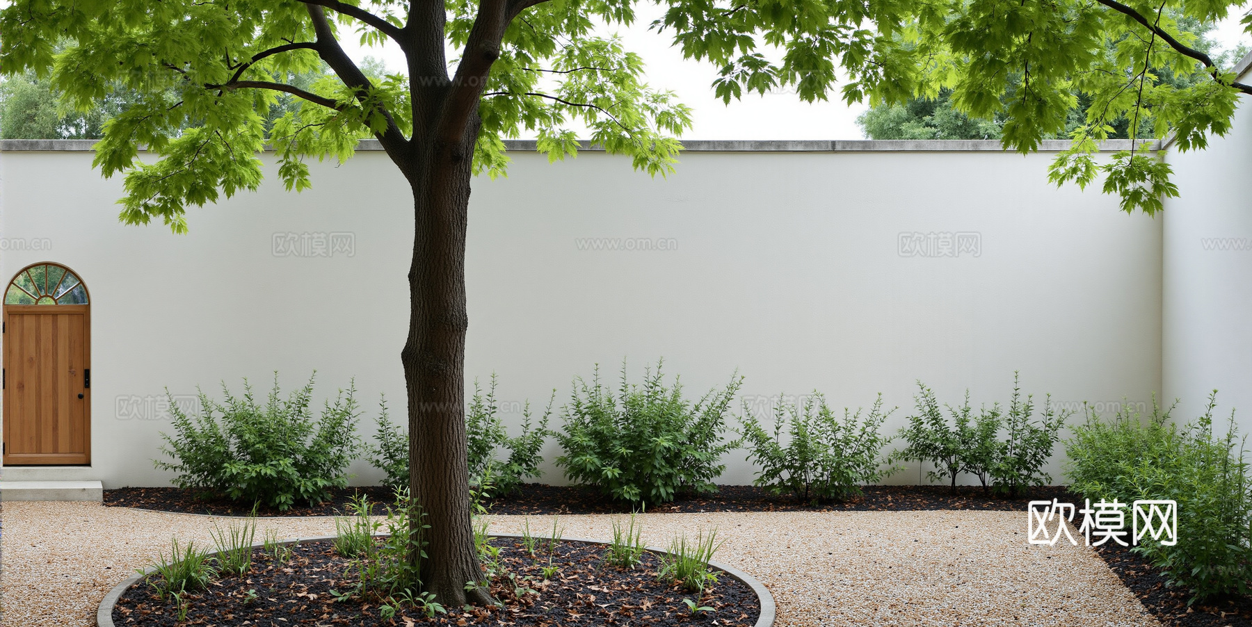 一楼小院外景 窗景 庭院