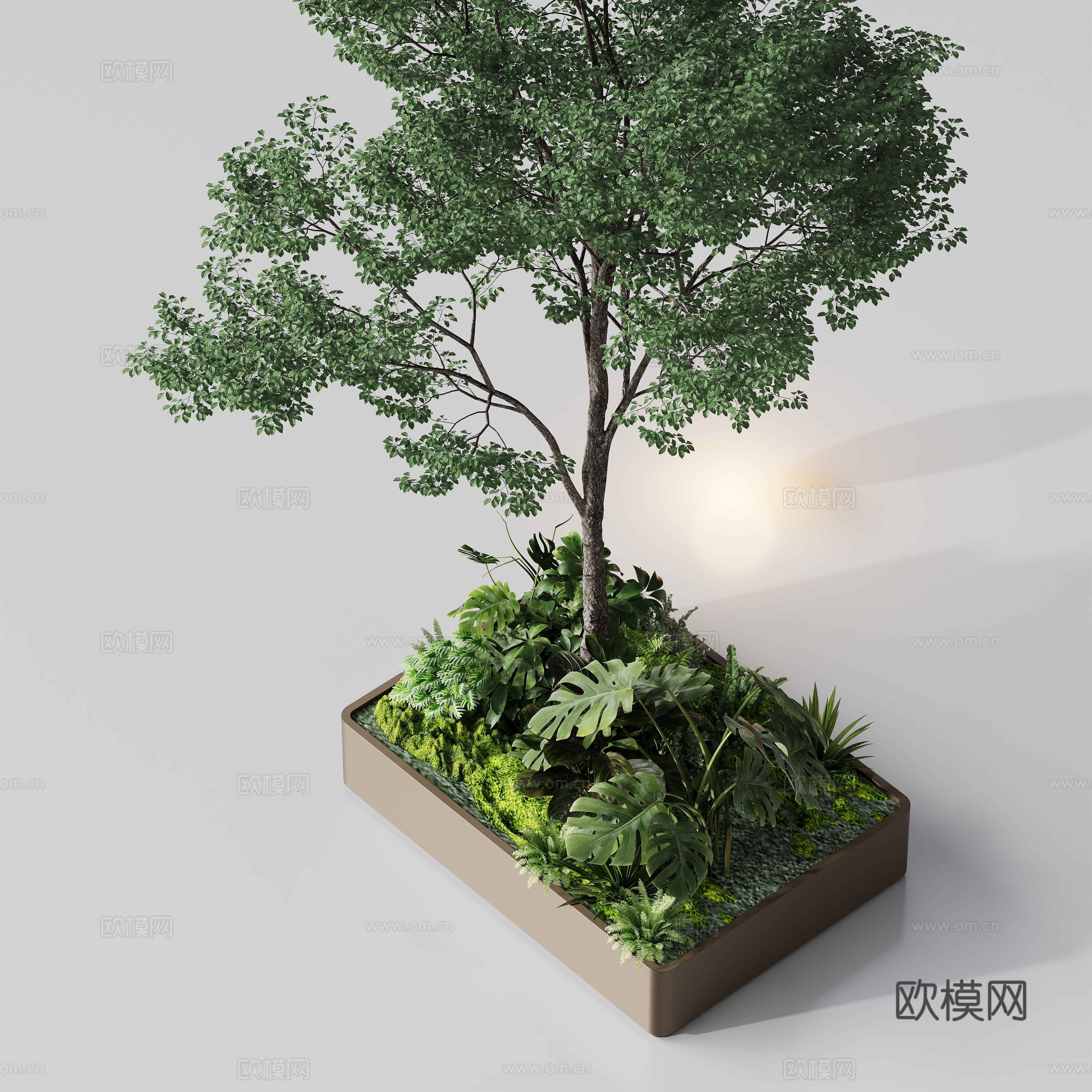 花箱植物树景观su模型