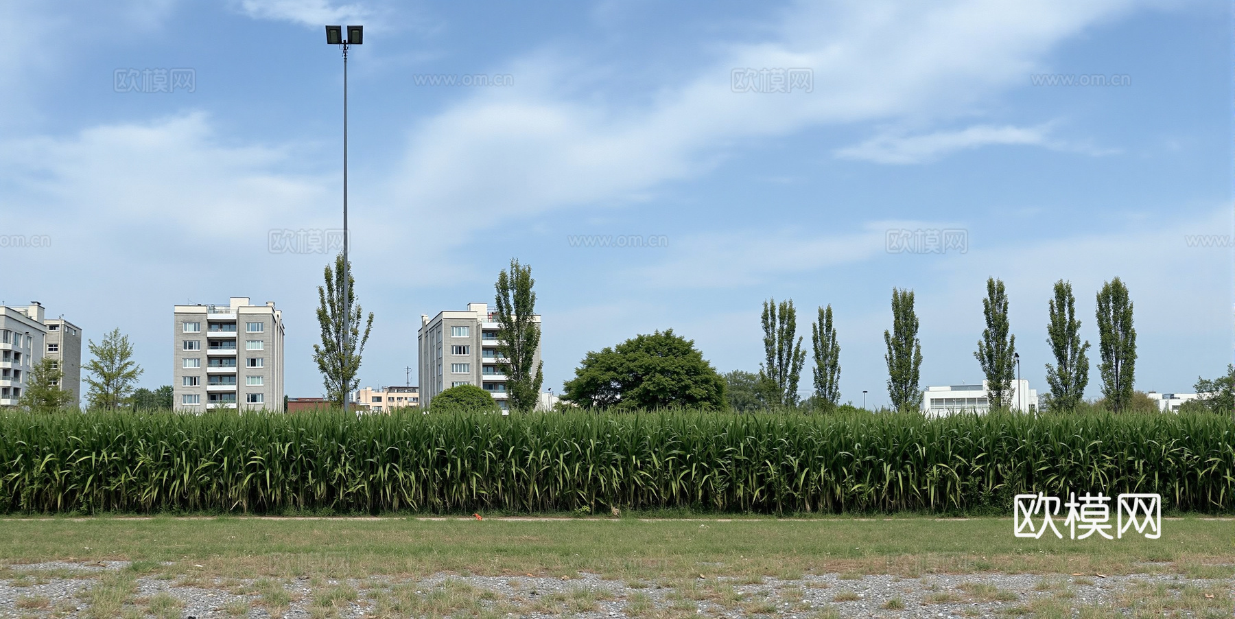 现代风格街景 城市公路绿化