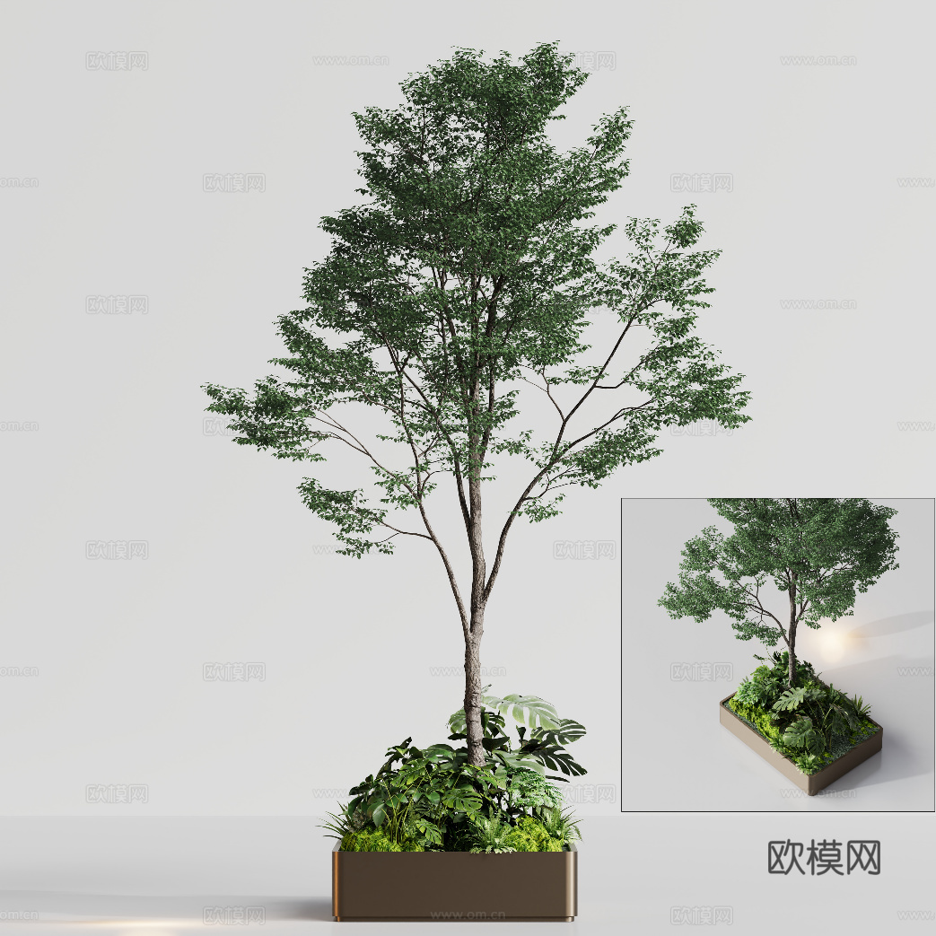 花箱植物树景观su模型