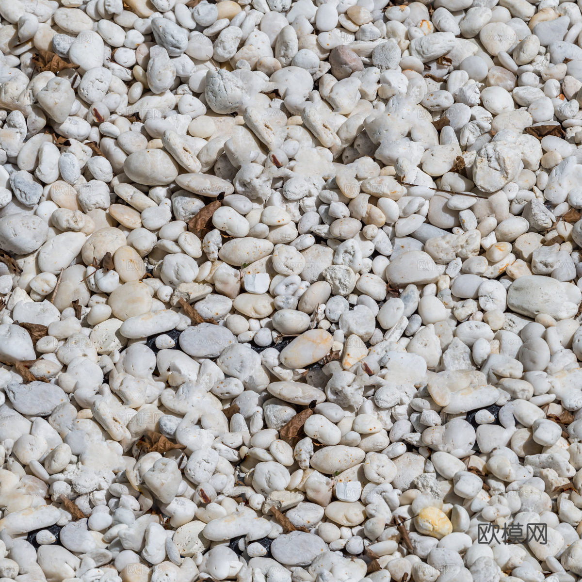 白色鹅卵石贴图19