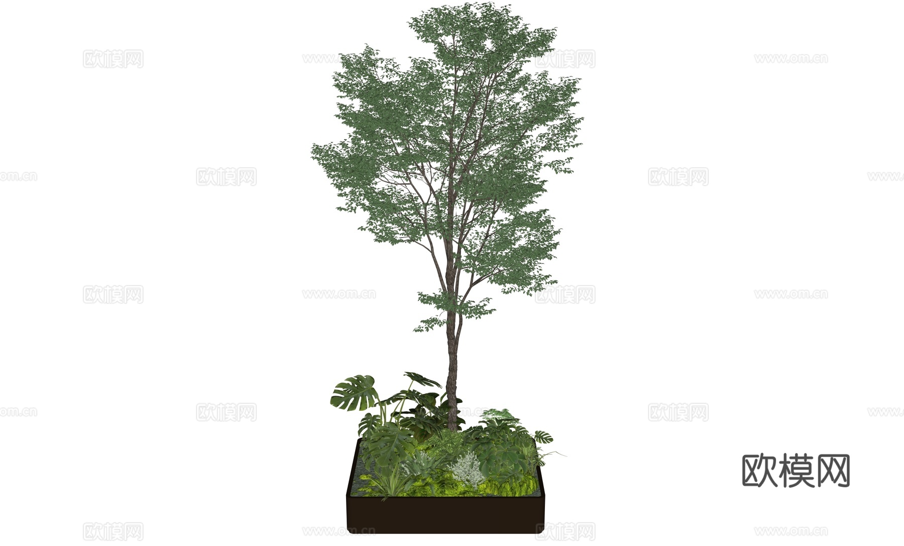 花箱植物树景观su模型
