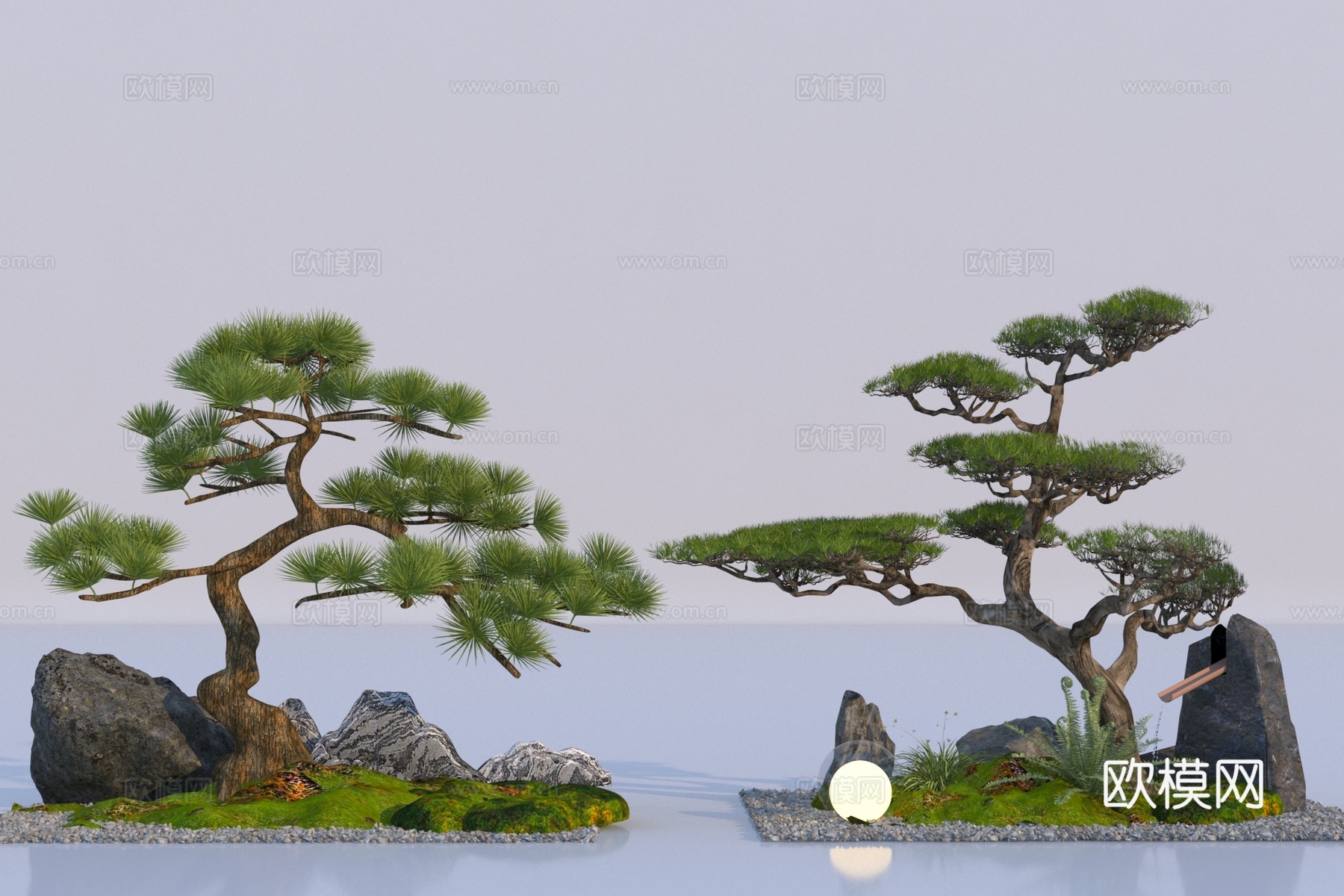 现代松树景观树3d模型下载