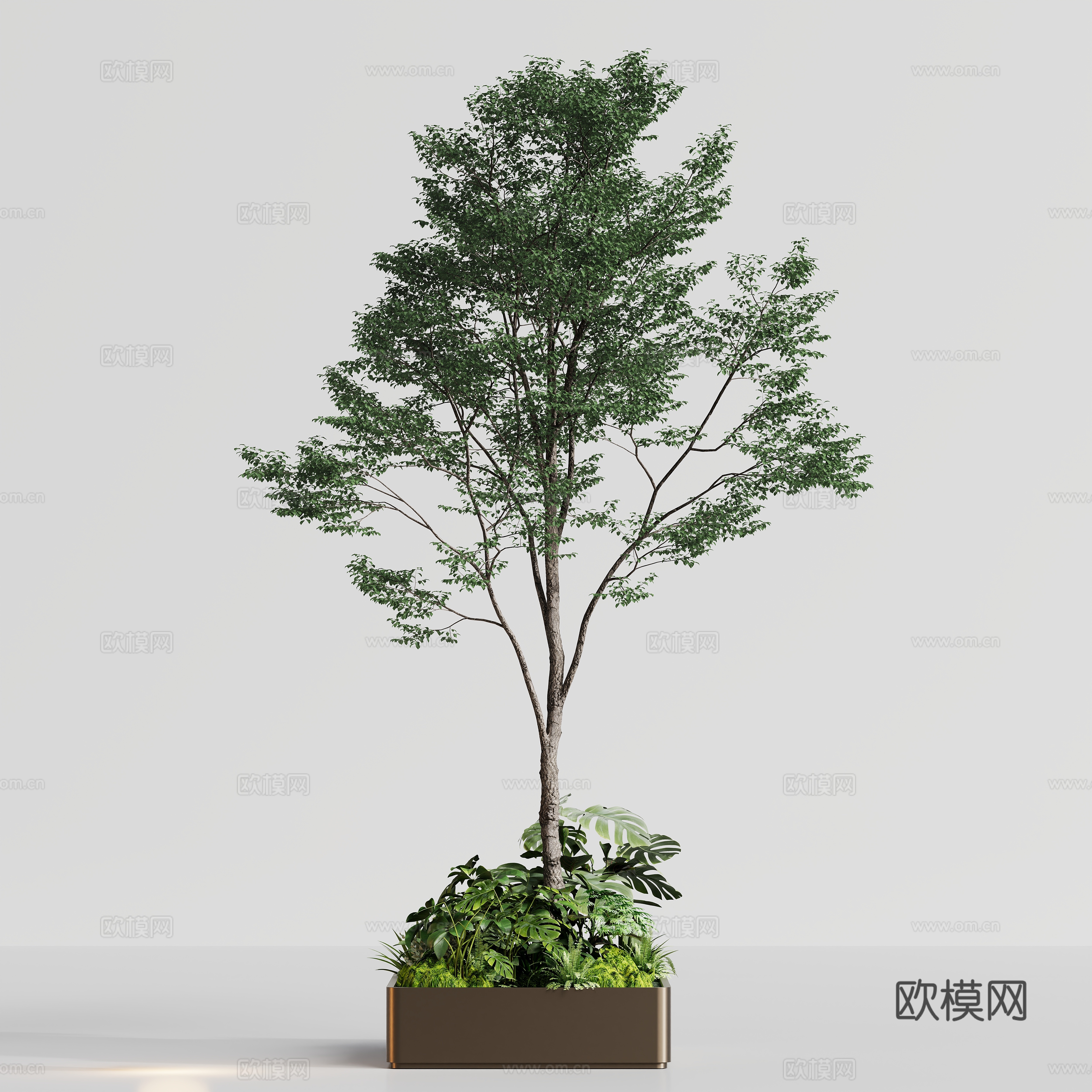 花箱植物树景观su模型