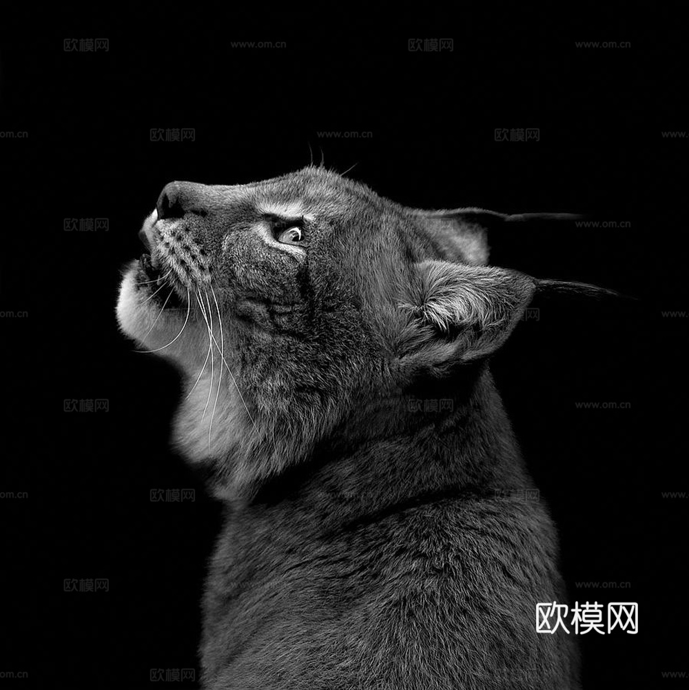 黑白摄影装饰画