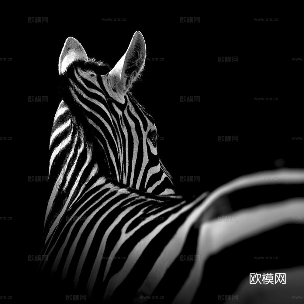 黑白摄影装饰画