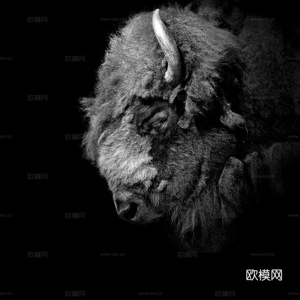 黑白摄影装饰画