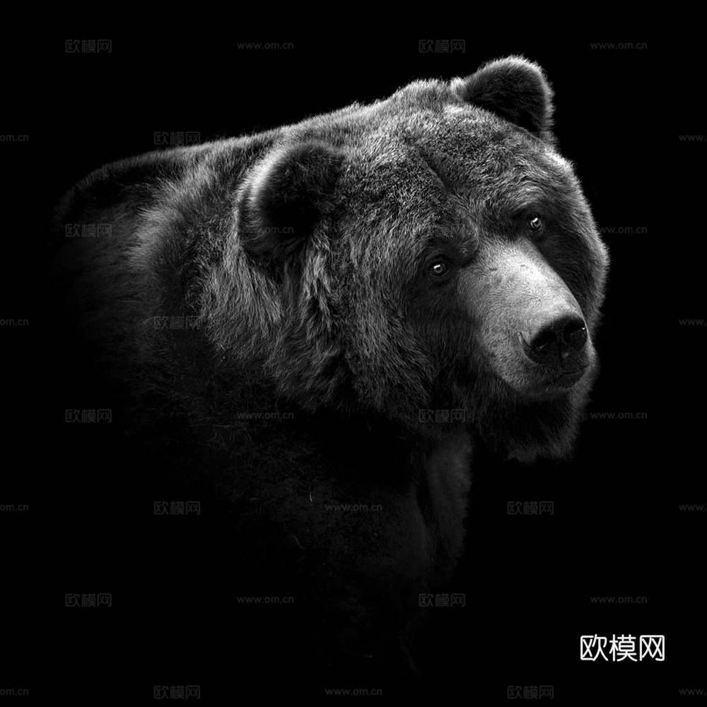 黑白摄影装饰画