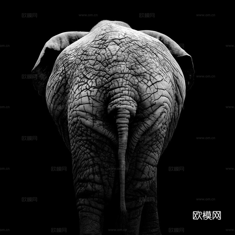 黑白摄影装饰画