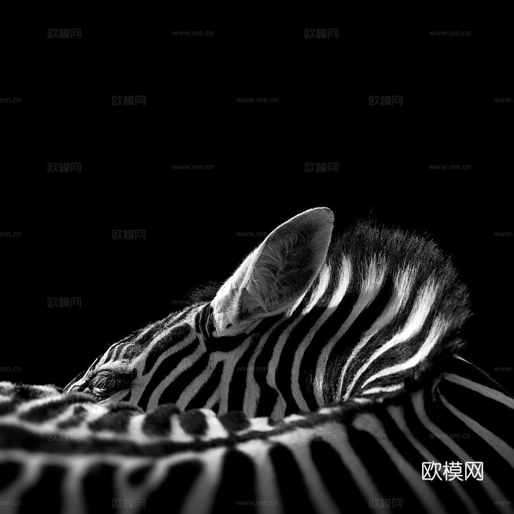 黑白摄影装饰画