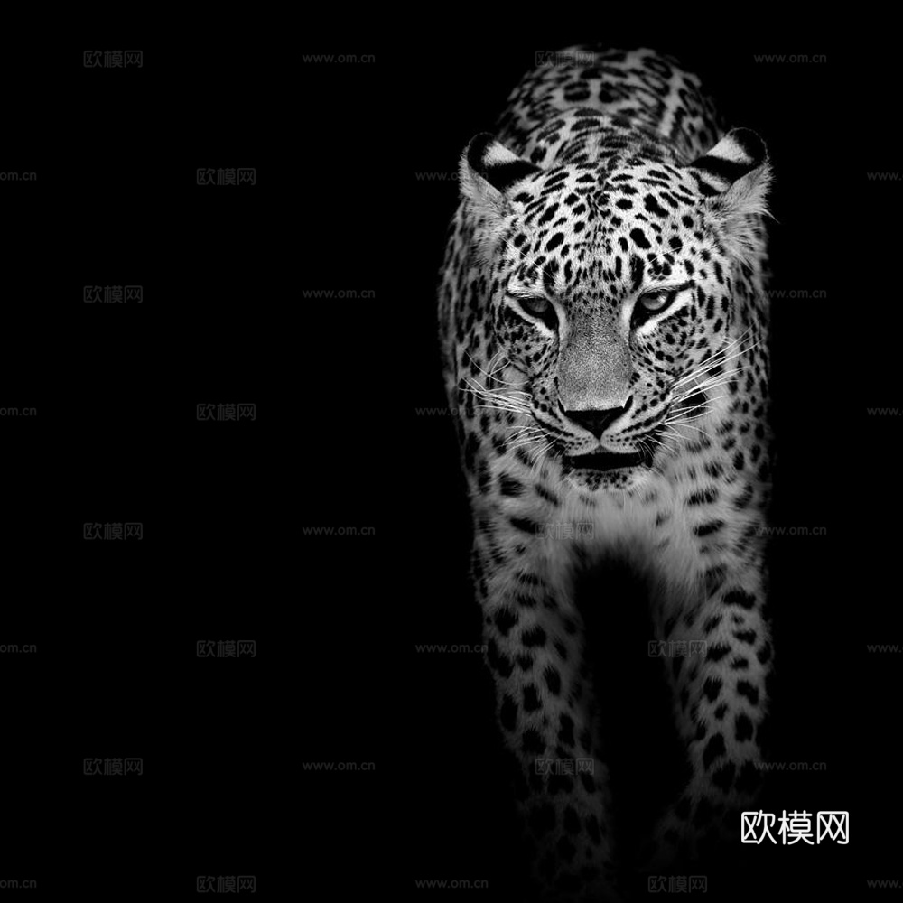 黑白摄影装饰画