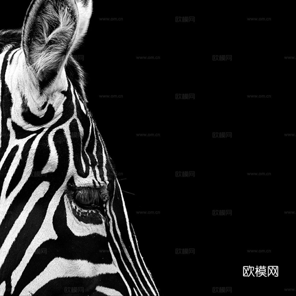 黑白摄影装饰画