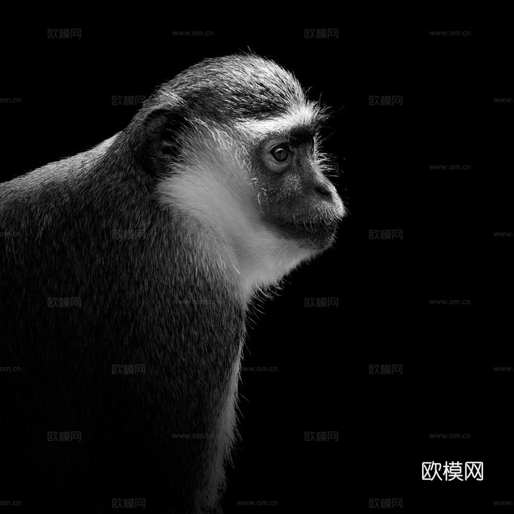 黑白摄影装饰画