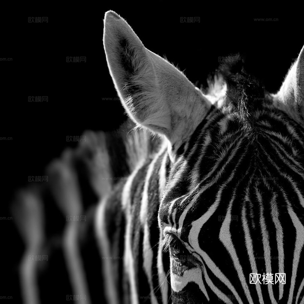 黑白摄影装饰画