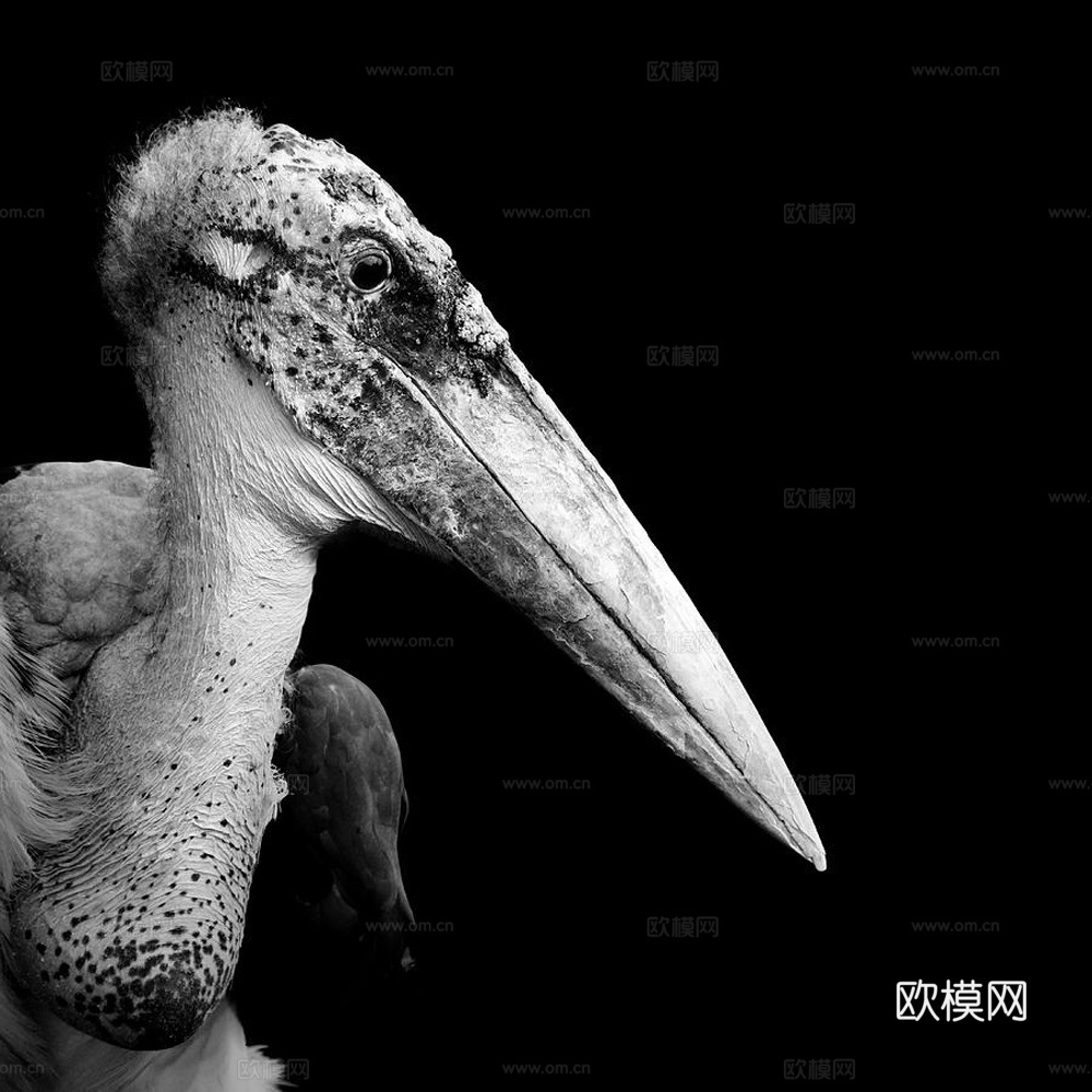 黑白摄影装饰画