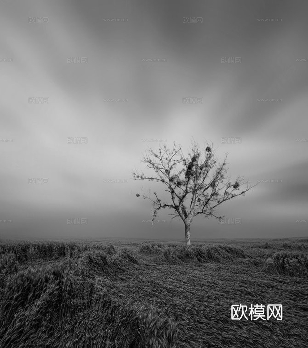 黑白摄影装饰画