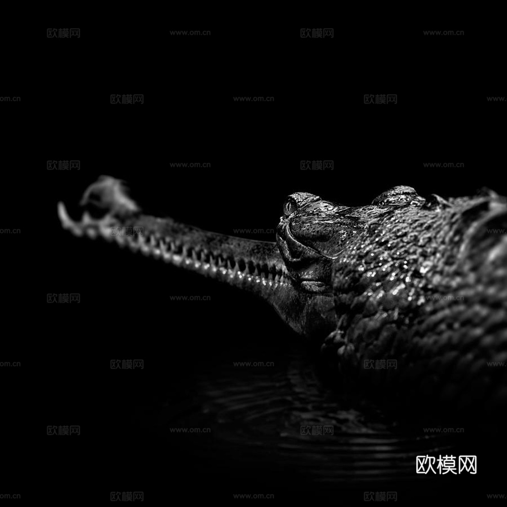 黑白摄影装饰画