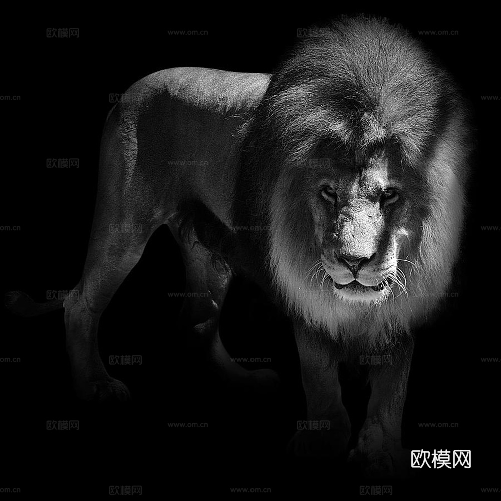 黑白摄影装饰画