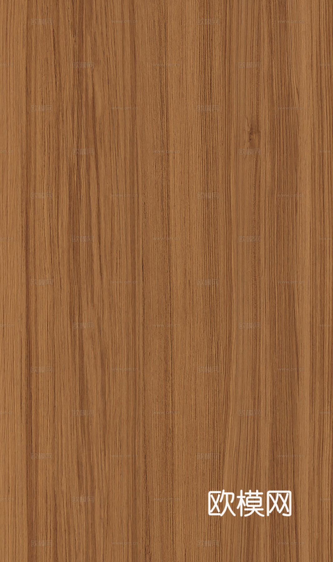 现代其他木纹_现代木纹_橡木木纹贴图