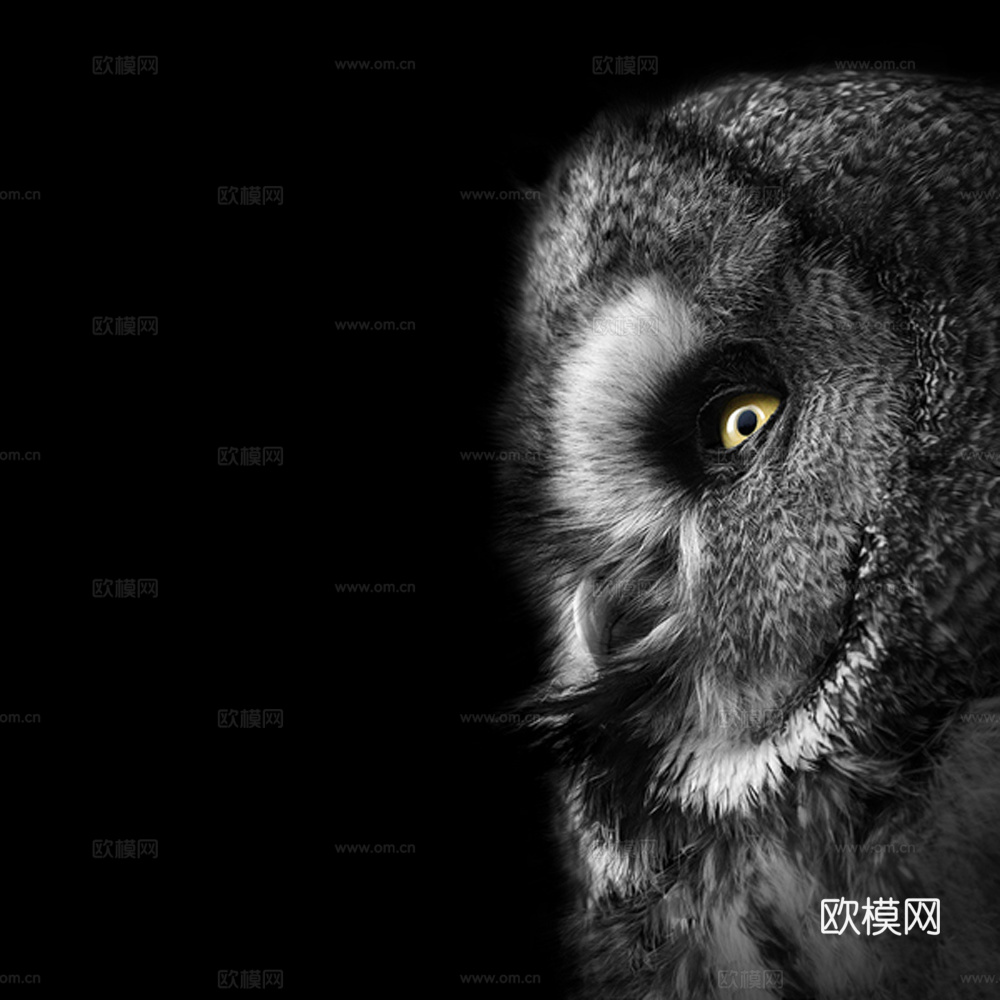 黑白摄影装饰画