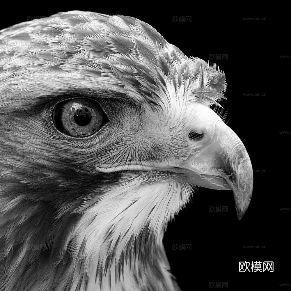 黑白摄影装饰画