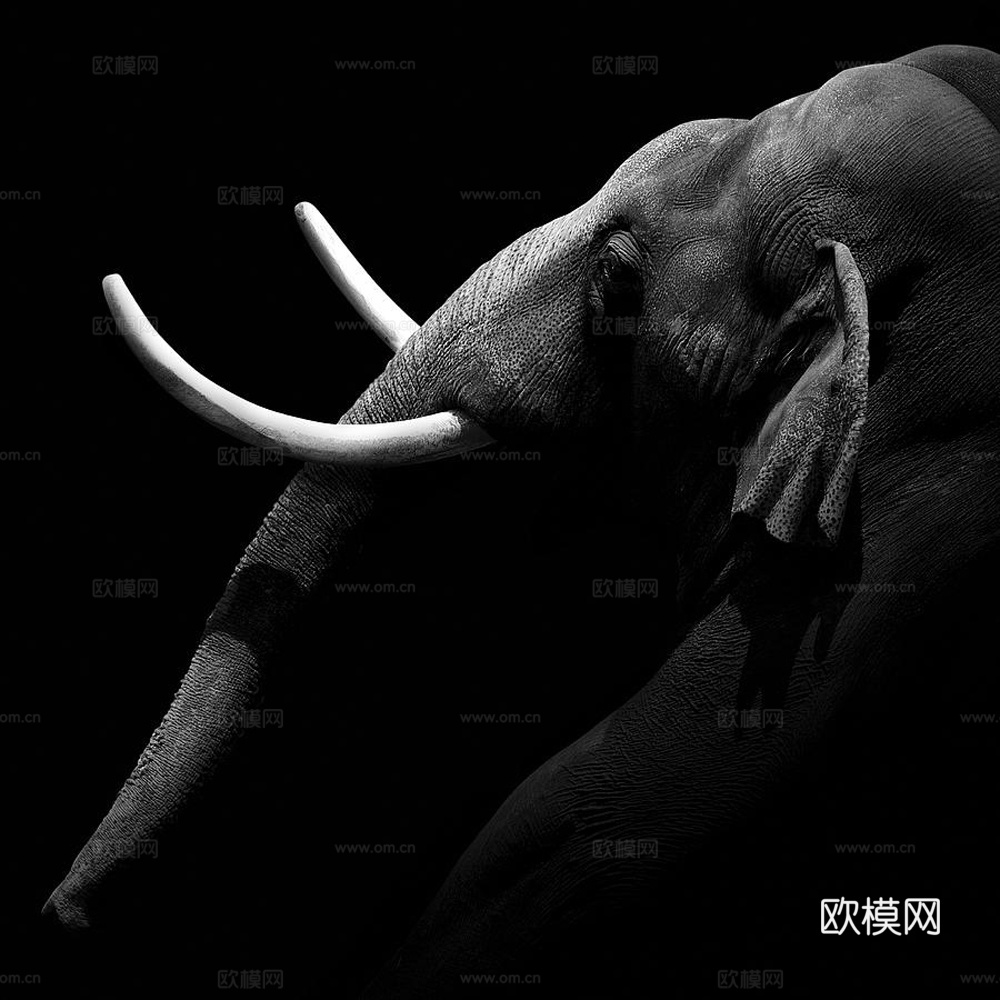 黑白摄影装饰画