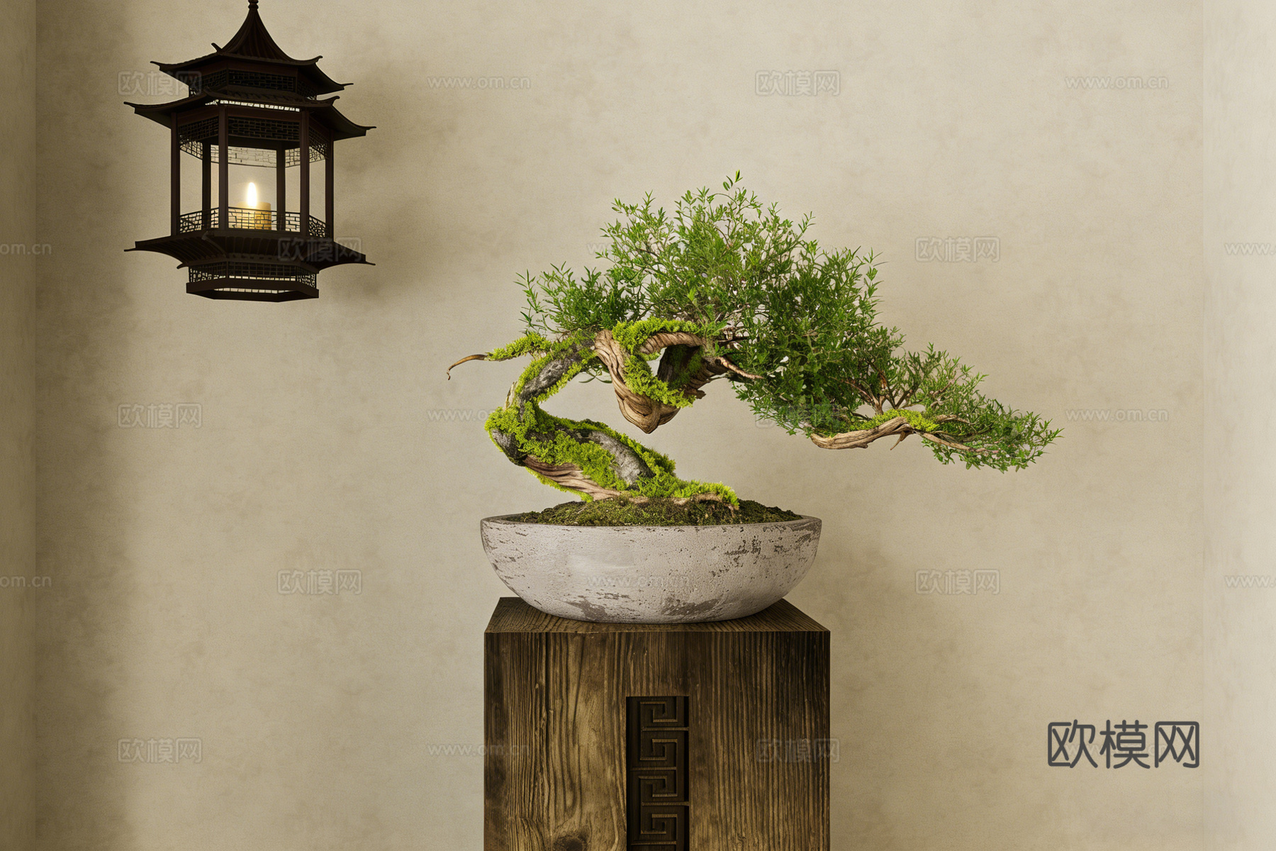 中式禅意苔藓盆景 弯曲树干造型 陶瓷花盆 实木基座 茶室装饰su模型