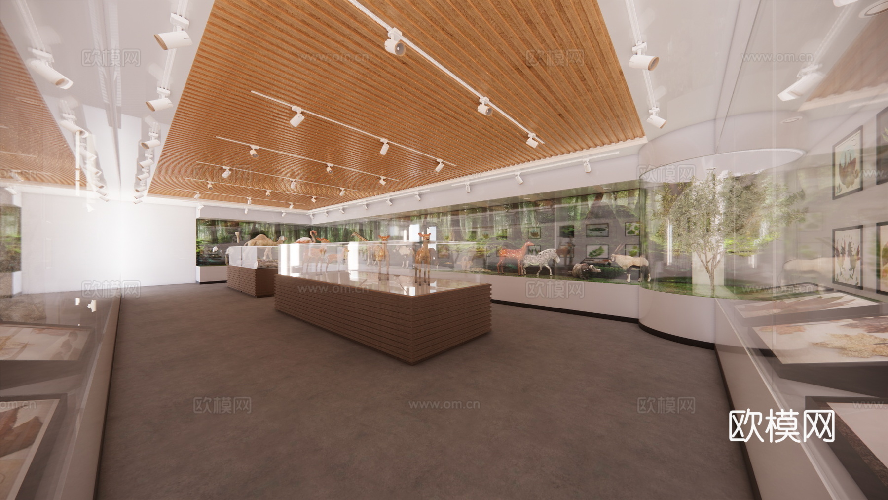 电影院 健身房 剧院 幼儿园 培训机构 体育馆su模型