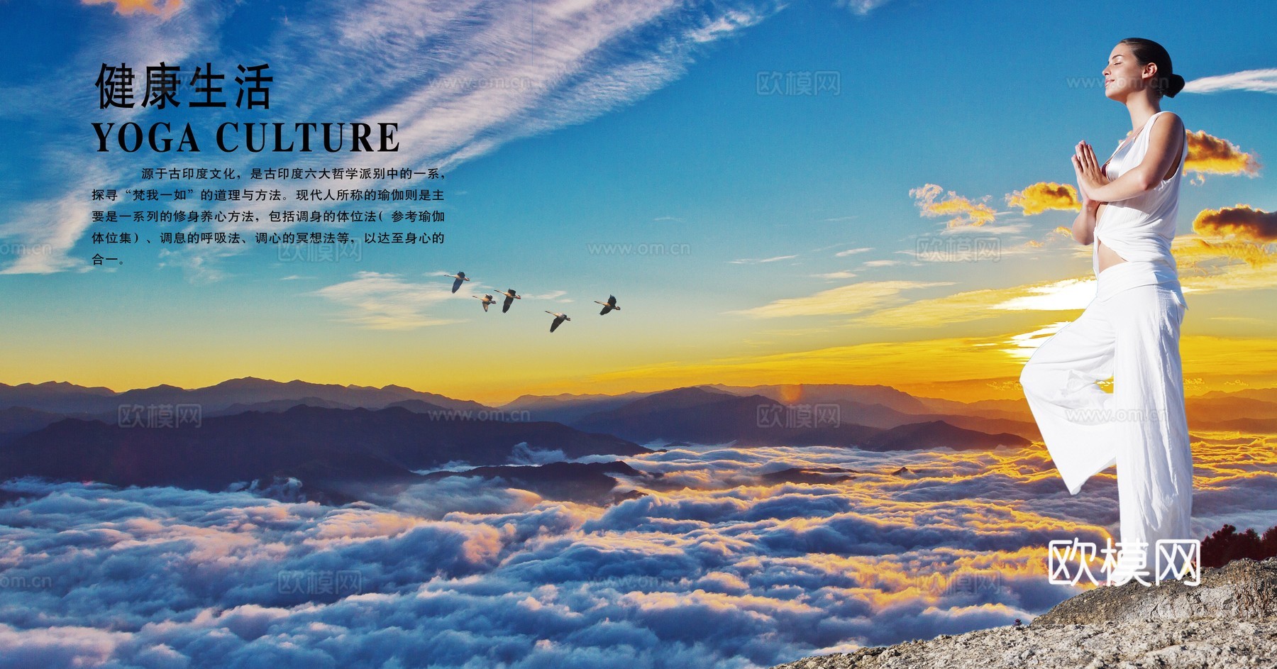 瑜伽广告海报14