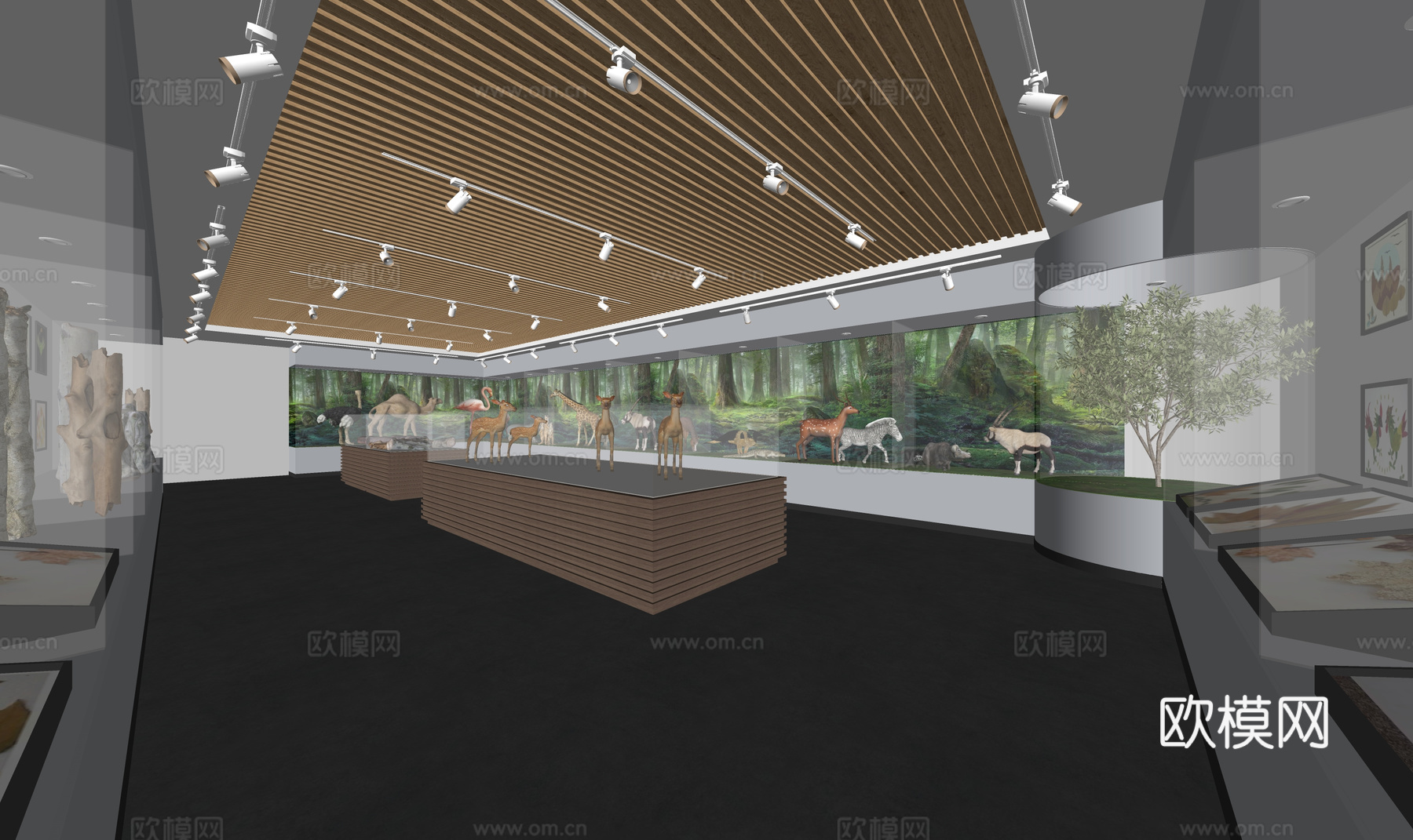 电影院 健身房 剧院 幼儿园 培训机构 体育馆su模型