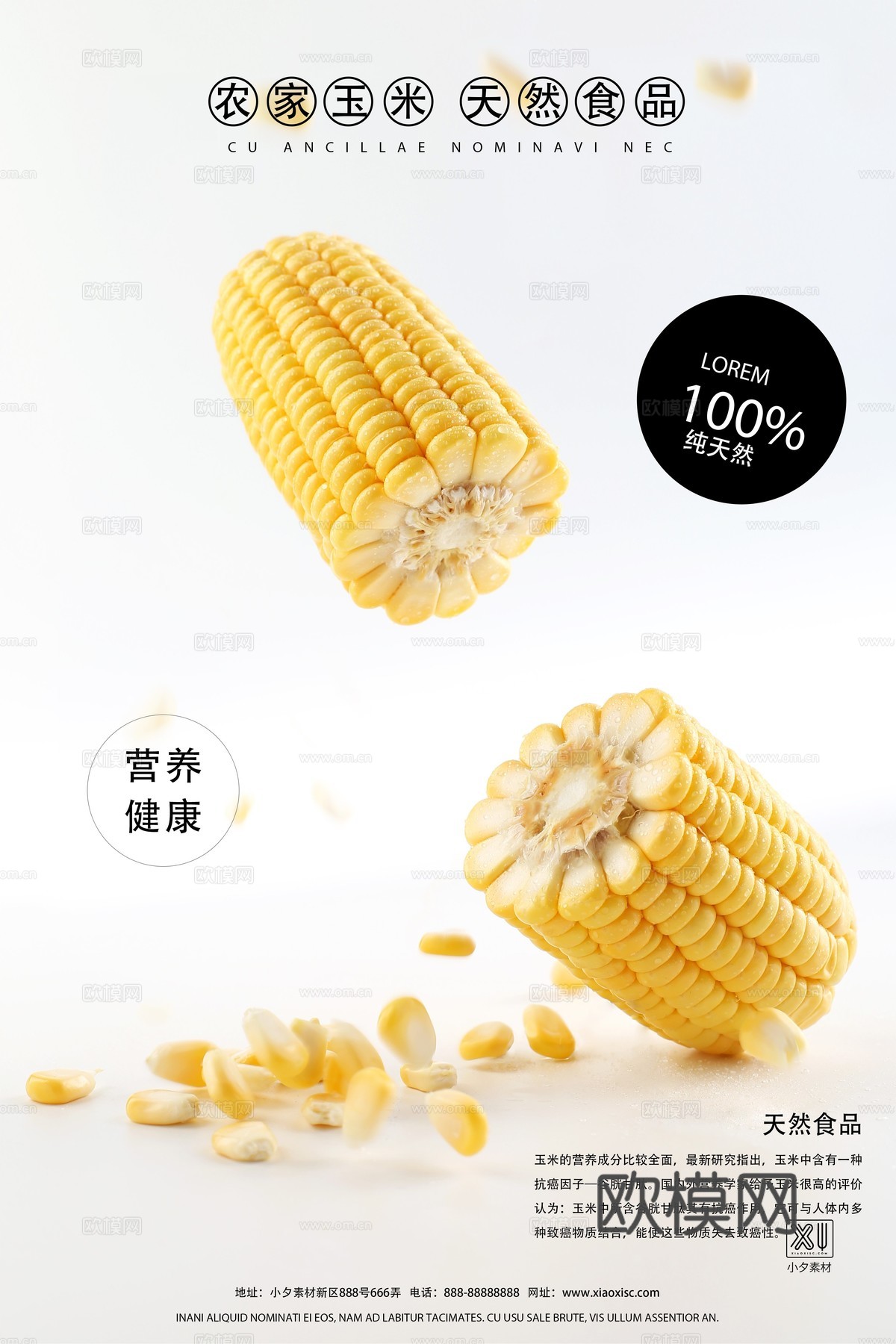 美食广告海报234